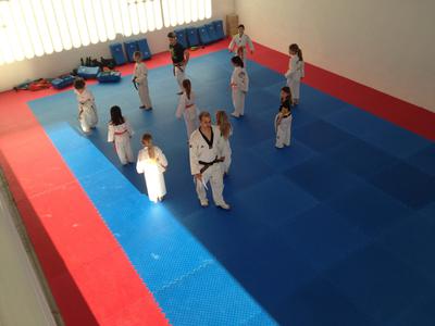 TaeKwonDo Classes