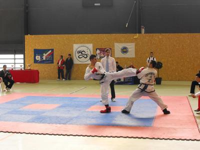 Taekwon Do Itf